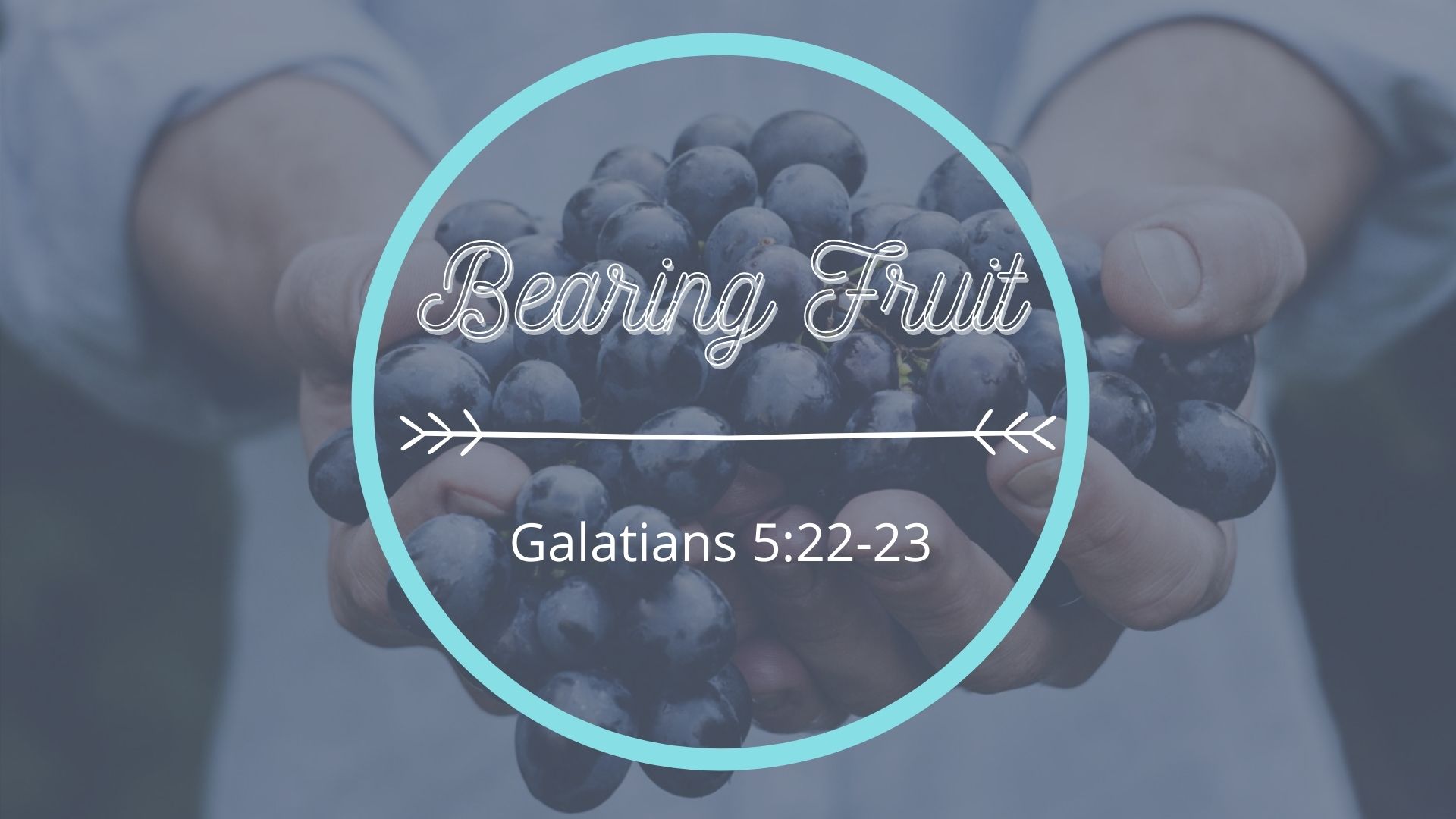 Bearing Fruit – Warren Alliance Church